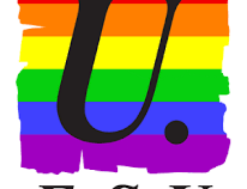 Marches des fiertés 2025   Pour l’égalité et contre les discriminations anti LGBTQIA+ :   toutes et tous dans les marches des fiertés !