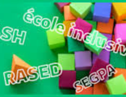 STAGE ASH réservé aux enseignants et enseignants spécialisés le 23 01 26