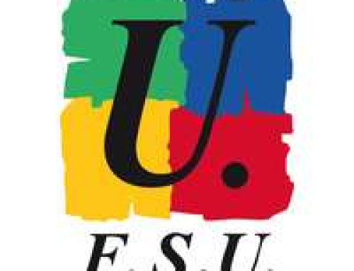 Stage FSU 64/65 : Pour un enseignement égalitaire